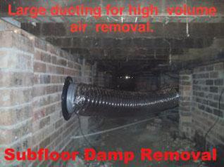 mould removal - Damp Sub-floor
